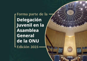 Programa 'Delegación Juvenil en la Asamblea General de la ONU', Gobierno de México